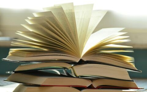 Plataforma gratuita do MEC já emprestou 468 mil livros; veja os mais lidos