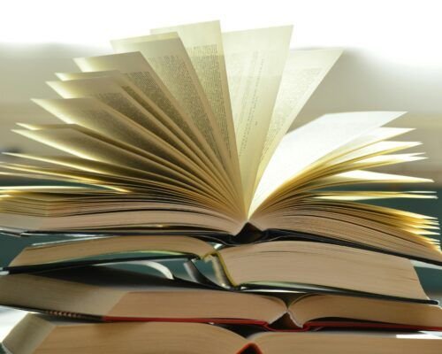 Plataforma gratuita do MEC já emprestou 468 mil livros; veja os mais lidos