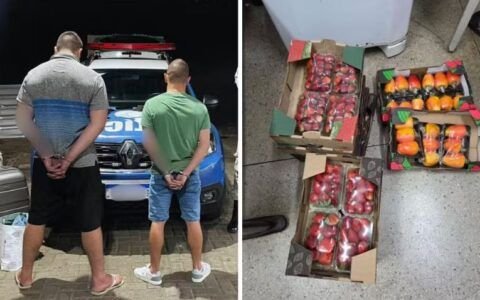 Mulher é vítima de golpe e paga R$ 9.910 por morangos em banca de rua, em Goiânia