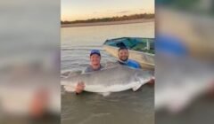 Guia de pesca fisga peixe de mais de 2 metros no Araguaia e defende cota zero para preservação
