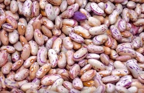 Goiás amplia produção de feijão e chega ao 2º lugar em produtividade