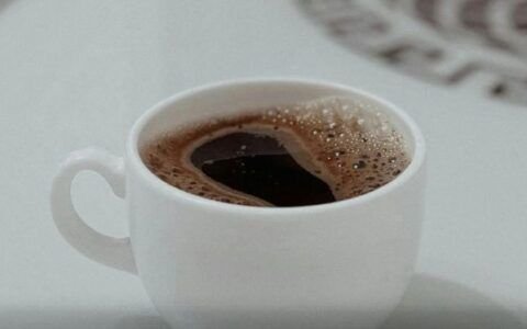 Festival de café especial agita Goiânia por três dias