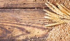 Agro cresce 11,7%, impulsiona PIB e ganha participação na economia