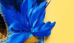 Blocos, festas e eventos gratuitos marcam o pré-carnaval de Goiânia