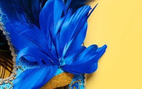 Blocos, festas e eventos gratuitos marcam o pré-carnaval de Goiânia