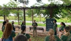 Cresce o interesse pela filosofia como ferramenta de desenvolvimento