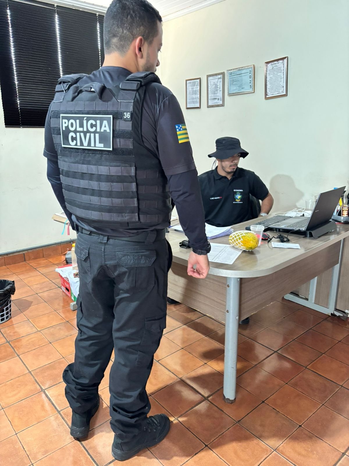 Operação Cash Cow mira fraude fiscal no comércio de carnes e frigoríficos em Goiás