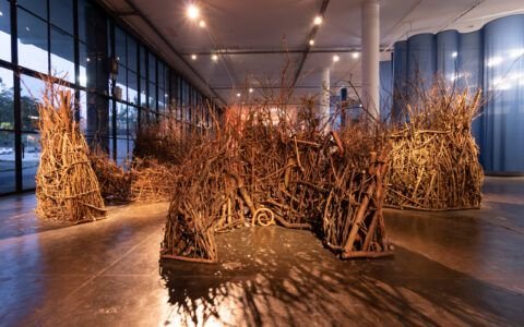 Bienal de São Paulo estreia em Goiânia com entrada gratuita no MAC