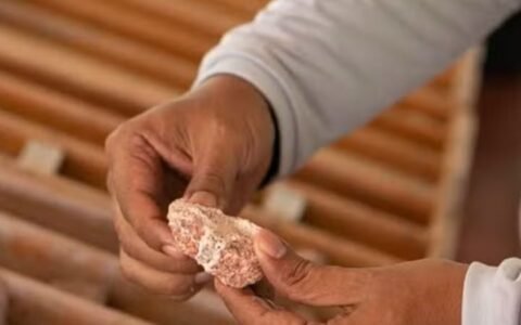 Parceria com Japão impulsiona mineração em Goiás