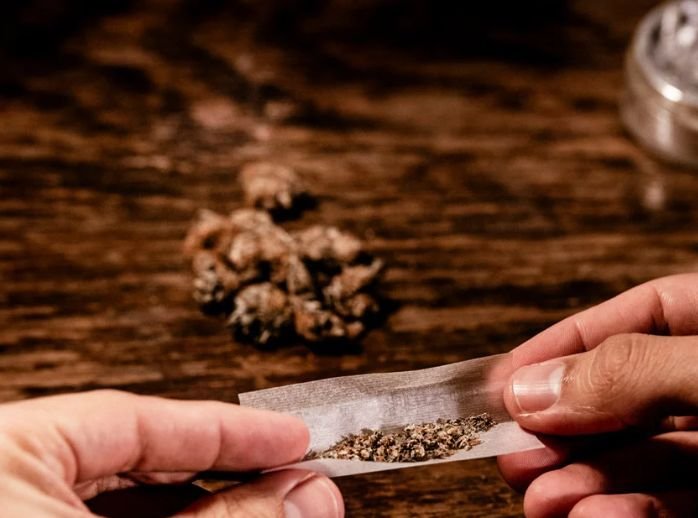 Estudo liga uso de cannabis na juventude a doenças mentais