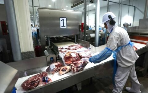 Goiás tem superávit de US$ 205,6 mi na balança comercial em fevereiro