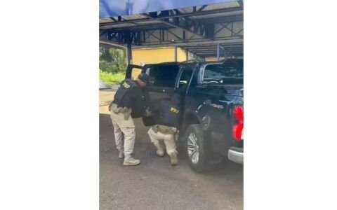 PRF apreende cocaína escondida em porta de caminhonete na BR-153