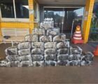 PRF apreende mais de 350kg de cocaína e comprimidos de anfetamina na BR-060