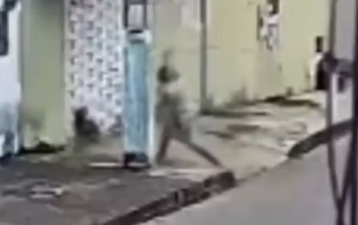 Câmeras flagram ataque a cachorro e mulher acaba presa