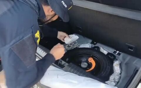 Carga milionária de remédios ilegais é apreendida na BR-050