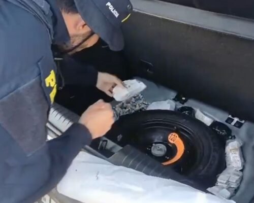 Carga milionária de remédios ilegais é apreendida na BR-050