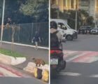 Macaco surpreende ao atravessar faixa como pedestre em Goiânia