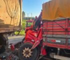 Colisão entre caminhões deixa dois mortos na BR-153, em Aparecida de Goiânia