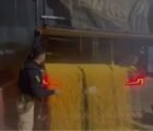 PRF apreende meia tonelada de cocaína escondida em carga de milho