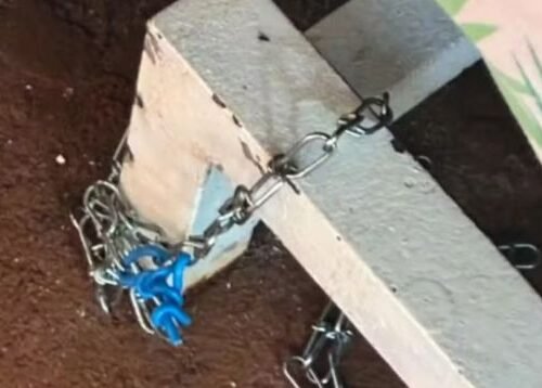 Mãe é presa por manter filho acorrentado em condições degradantes em Goiás