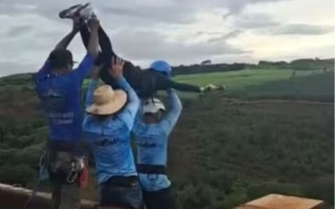 Jovem morre em salto de rope jump após ser lançada sem corda em São Paulo; veja vídeo