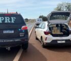 PRF apreende drogas e captura foragido após tentativa de fuga na BR-060, em Acreúna
