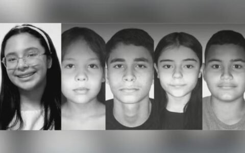 Cinco estudantes morrem após van escolar atingir carreta na GO-518