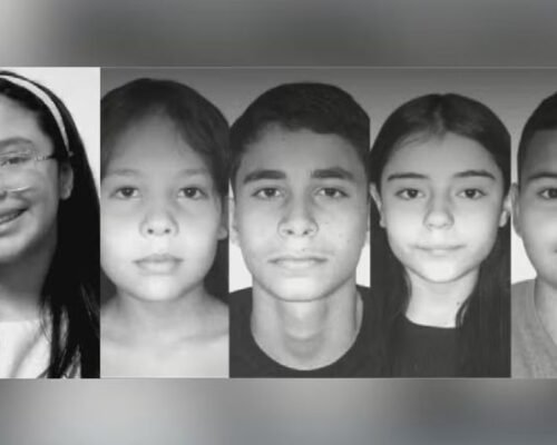 Cinco estudantes morrem após van escolar atingir carreta na GO-518