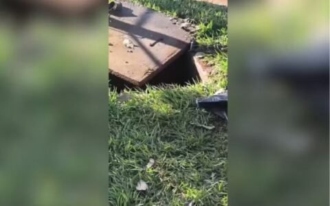 Funcionários encontram feto em caixa de gordura durante limpeza em condomínio de Goiás