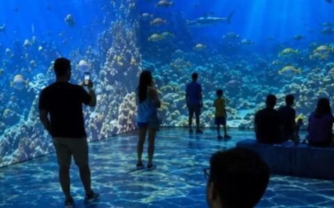 Exposição imersiva sobre oceanos conquista público em Goiânia nas férias