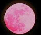 Lua de Morango poderá ser vista hoje em Goiás; saiba onde observar