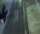 Dupla usa charrete para assaltar vigilante a caminho do trabalho