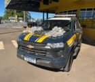 Motorista é preso com 37 kg de haxixe escondidos em carro na BR-153