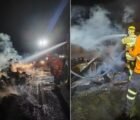 Carreta pega fogo após acidente na GO-112 e mais de 50 bezerros morrem carbonizados