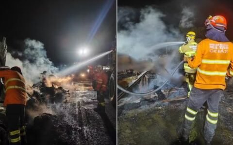 Carreta pega fogo após acidente na GO-112 e mais de 50 bezerros morrem carbonizados