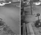 Mulher ignora placa de pare, causa acidente fatal e desaparece em Goiás