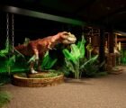 Rio Verde será a primeira cidade do Brasil a receber o Vale Jurássico, maior experiência imersiva sobre dinossauros do país