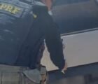 Jovem é preso com 150 kg de maconha em carro em Caldas Novas