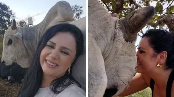 Boi de estimação conquista a dona e muda relação dela com a carne