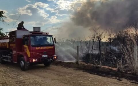 Terra Ronca já perdeu 13 mil hectares para o fogo em 9 dias