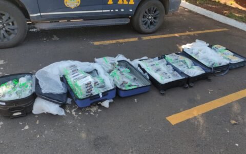 PRF apreende cerca de mil frascos de lança-perfume em ônibus interestadual, na BR-153