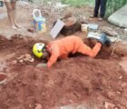 Bombeiros resgatam cinco filhotes presos em buraco em Caldas Novas
