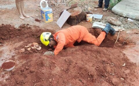 Bombeiros resgatam cinco filhotes presos em buraco em Caldas Novas