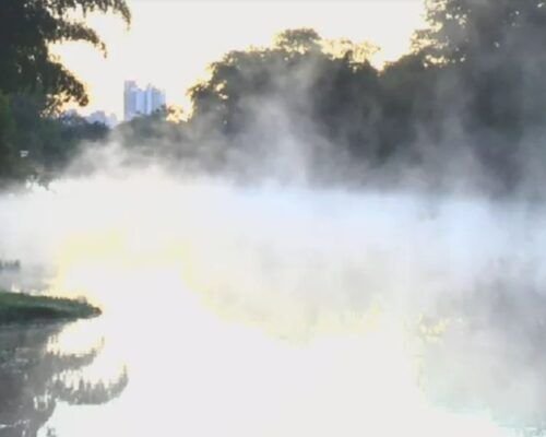 Frio de 5°C fez Goiânia bater marca histórica em 2022