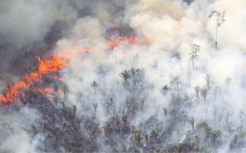 Goiás reduz área queimada em 62,6% neste ano