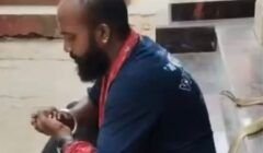 Experiente no resgate de cobras, homem morre após ataque de naja