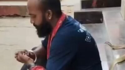 Experiente no resgate de cobras, homem morre após ataque de naja