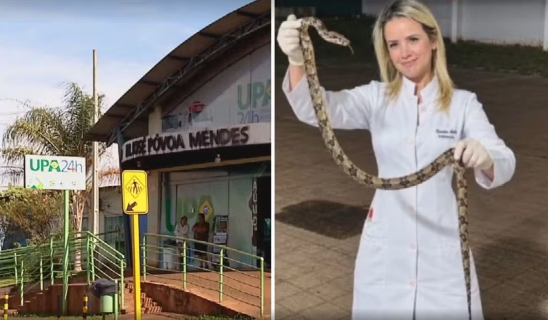 Mulher sofre duas picadas e leva cobra que a atacou até a UPA