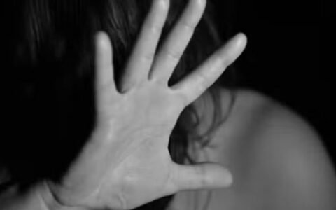 Goiás é o 3º estado com mais pedidos de benefício para vítimas de violência doméstica