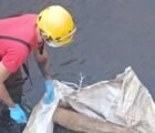 Saco com cachorro morto provoca mobilização policial em Jataí